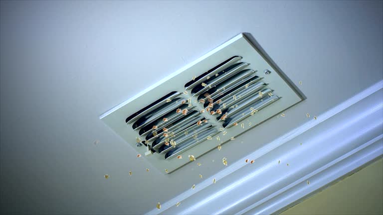 Ventilation Cleaning Services in SC